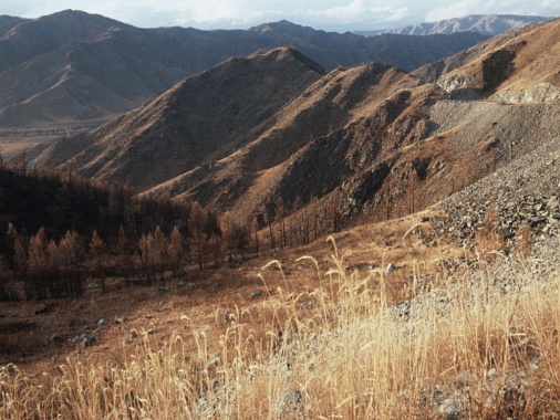 Алтайский край. Золотые горы. Фото Виктора Садчикова